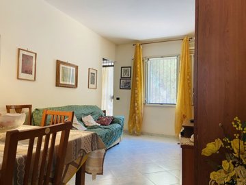 farorif-1261-8