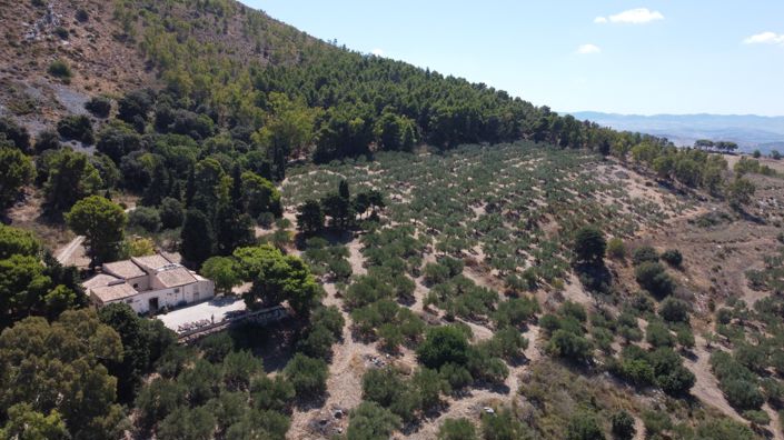 Image No.36-Villa de 7 chambres à vendre à Alcamo