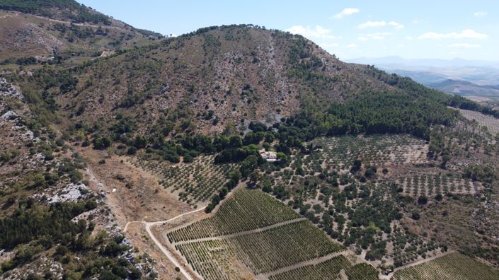 Image No.37-Villa de 7 chambres à vendre à Alcamo