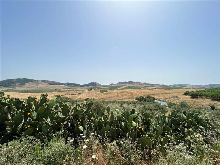 Image No.30-3 Bed Villa for sale