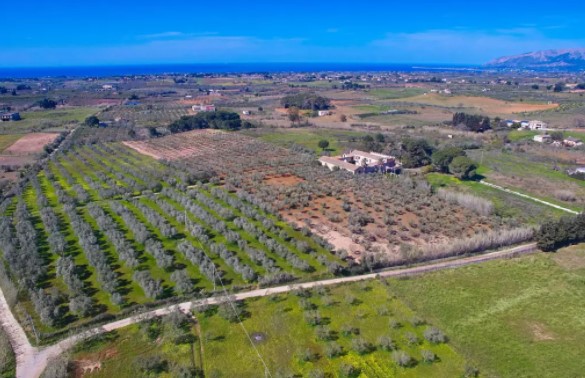 Image No.4-20 Bed Property for sale