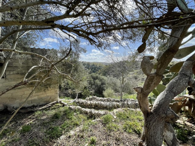 Image No.10-Property for sale