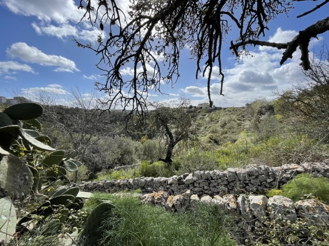 Image No.11-Property for sale