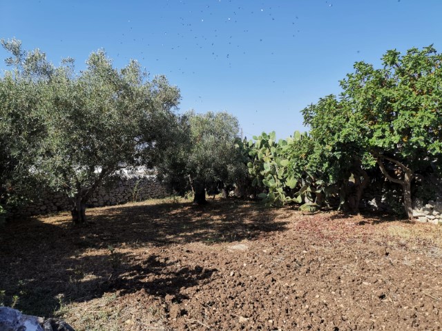 Image No.26-2 Bed Property for sale