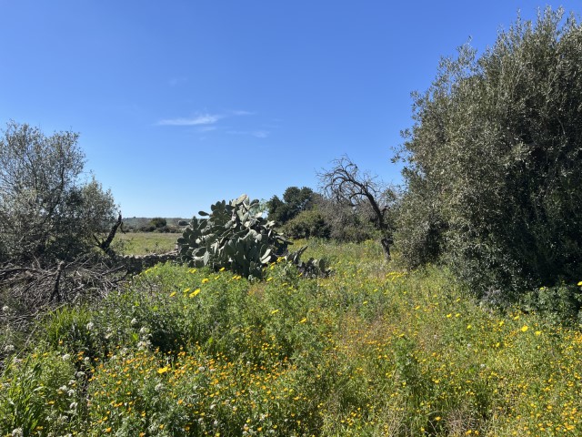 Image No.36-5 Bed Property for sale