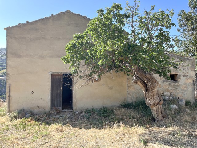 Image No.26-5 Bed Property for sale