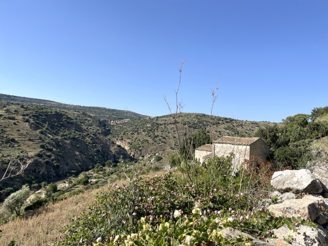 Image No.29-5 Bed Property for sale