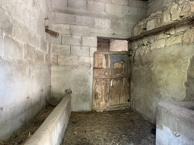 Image No.3-5 Bed Property for sale