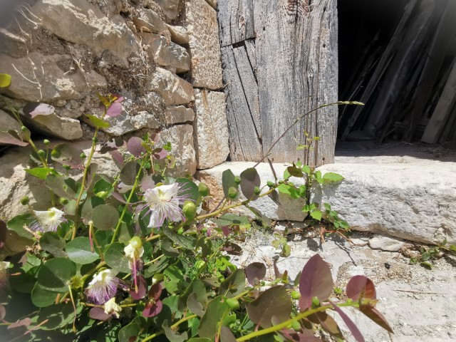 Image No.19-4 Bed Property for sale