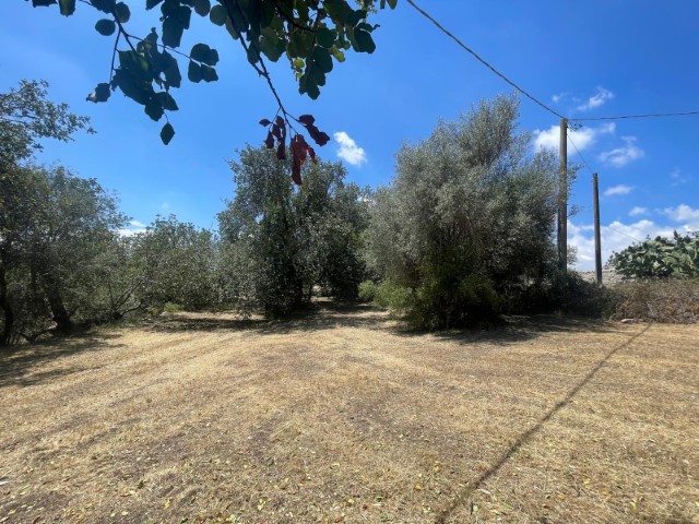 Image No.13-2 Bed Property for sale