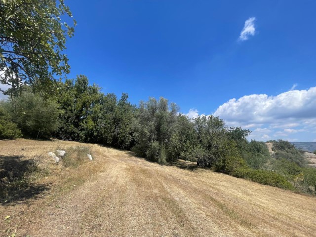 Image No.22-2 Bed Property for sale