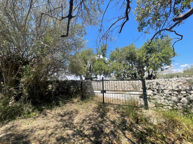 Image No.6-2 Bed Property for sale