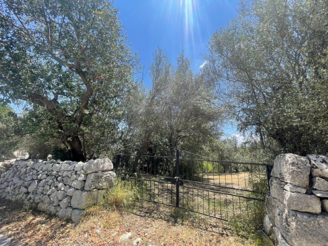 Image No.8-2 Bed Property for sale