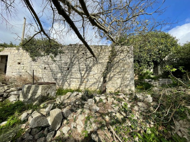 Image No.10-3 Bed Property for sale