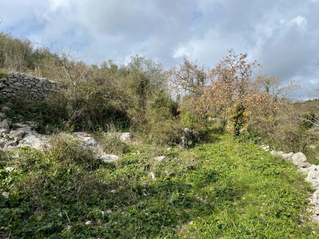 Image No.16-3 Bed Property for sale