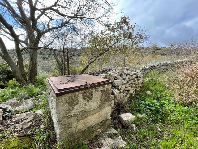 Image No.2-3 Bed Property for sale