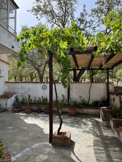 Image No.25-Villa de 4 chambres à vendre à Santa Elisabetta