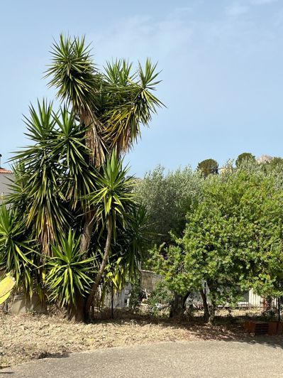 Image No.30-Villa de 4 chambres à vendre à Santa Elisabetta