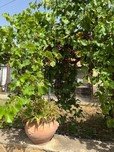 Image No.34-Villa de 4 chambres à vendre à Santa Elisabetta