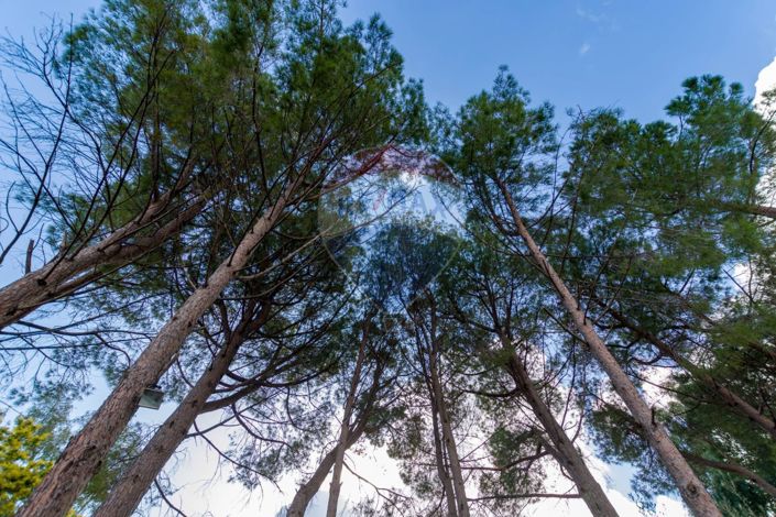 Image No.40-Villa de 3 chambres à vendre à Carini