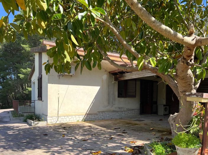 Image No.21-Villa de 3 chambres à vendre à Alcamo