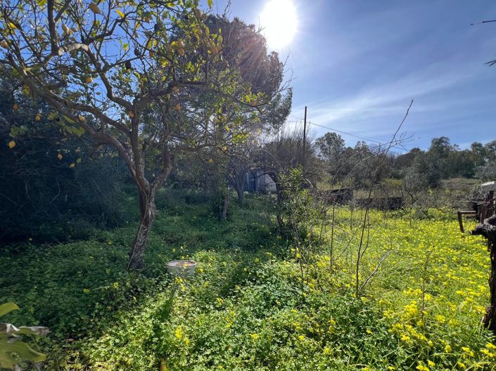 Image No.26-Villa de 3 chambres à vendre à Alcamo