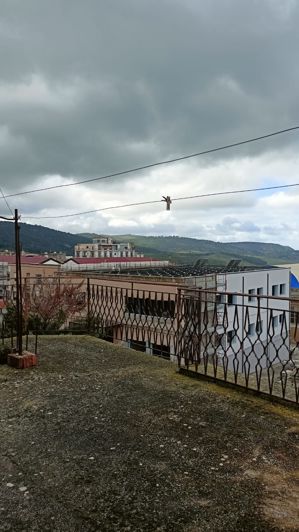 Image No.32-2 Bed House for sale