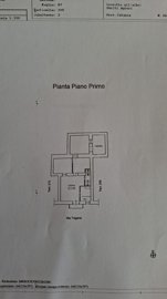 pln