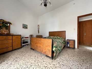 61067867-21