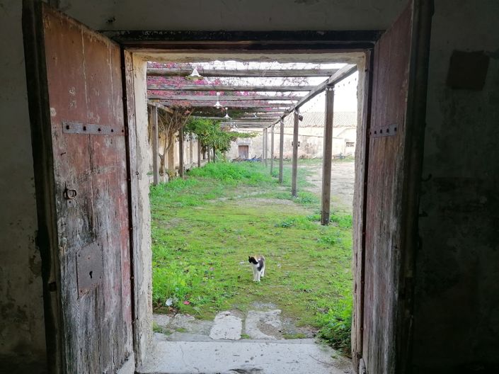 Image No.4-Propriété de 46 chambres à vendre à Alcamo