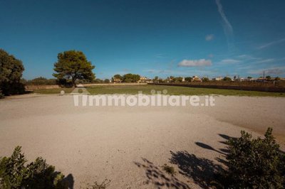 alpisblrmx1005-2