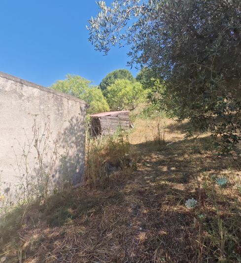 Image No.8-Propriété de 1 chambre à vendre à Ciminna