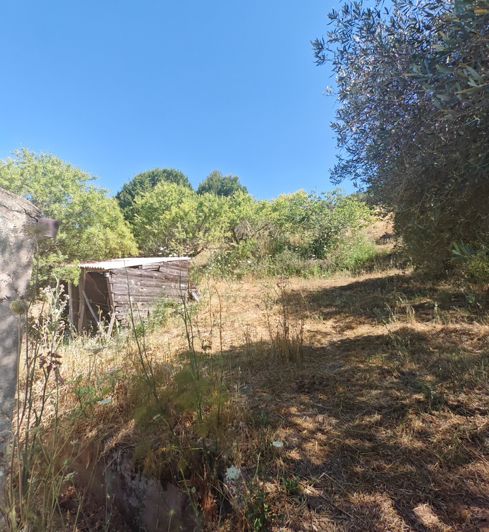 Image No.14-Propriété de 1 chambre à vendre à Ciminna