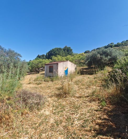 Image No.4-Propriété de 1 chambre à vendre à Ciminna