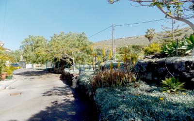 DSCN0711