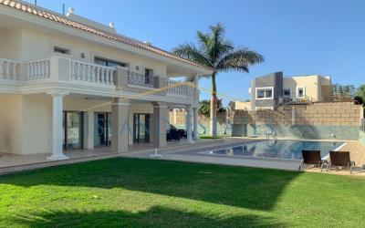 Pool-and-back-garden
