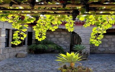 Rural-house-with-courtyard