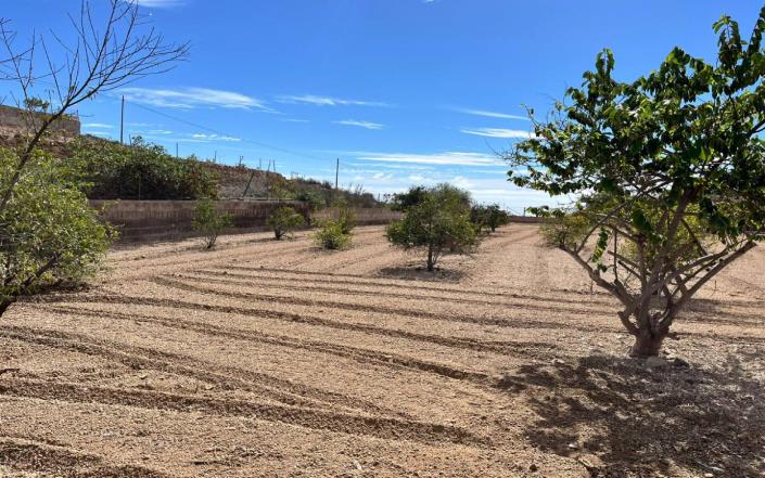 Image No.41-Finca de 3 chambres à vendre à Granadilla de Abona
