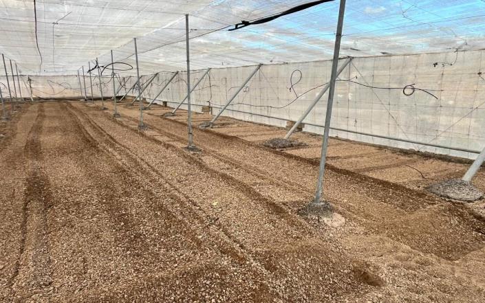 Image No.45-Finca de 3 chambres à vendre à Granadilla de Abona