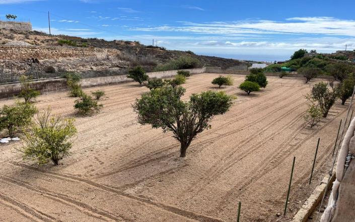 Image No.42-Finca de 3 chambres à vendre à Granadilla de Abona