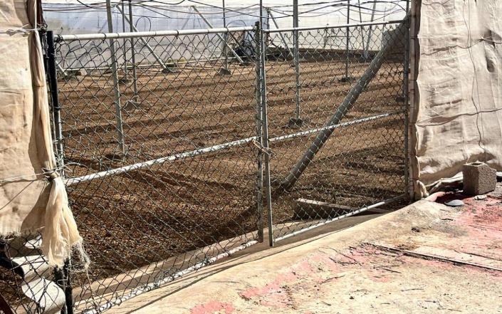 Image No.46-Finca de 3 chambres à vendre à Granadilla de Abona