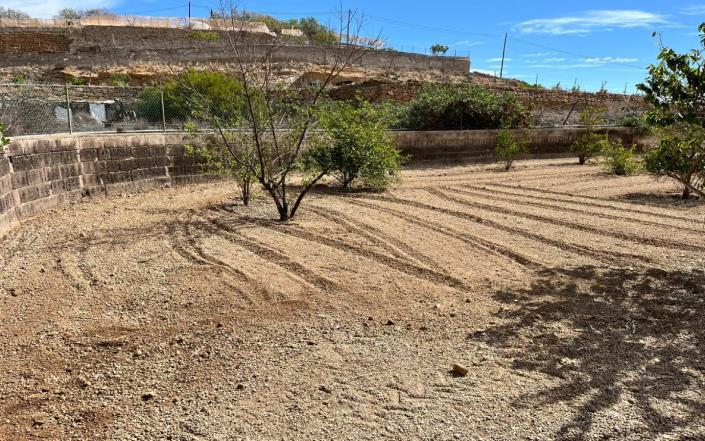 Image No.43-Finca de 3 chambres à vendre à Granadilla de Abona
