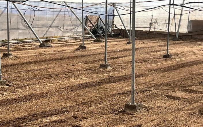 Image No.47-Finca de 3 chambres à vendre à Granadilla de Abona