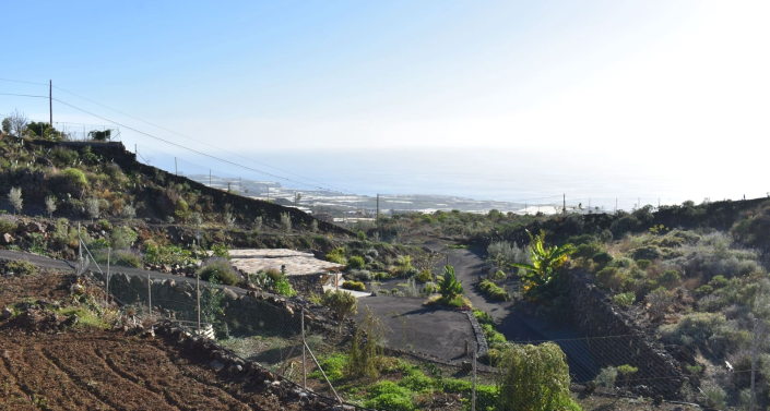 Image No.1-6 Bed Finca for sale