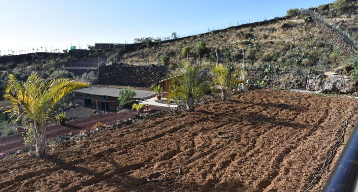 Image No.17-Finca de 6 chambres à vendre à Acojeja