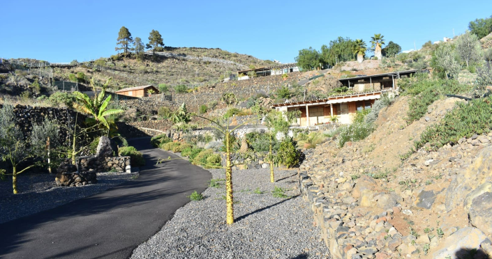 Image No.18-Finca de 6 chambres à vendre à Acojeja