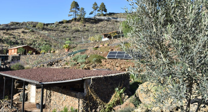 Image No.19-Finca de 6 chambres à vendre à Acojeja