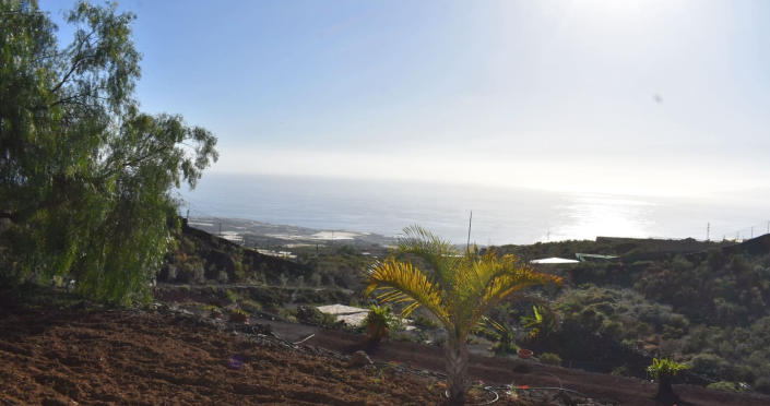 Image No.21-Finca de 6 chambres à vendre à Acojeja