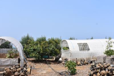 Vegetable-Plots
