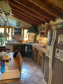 IMG-20250618-WA0004